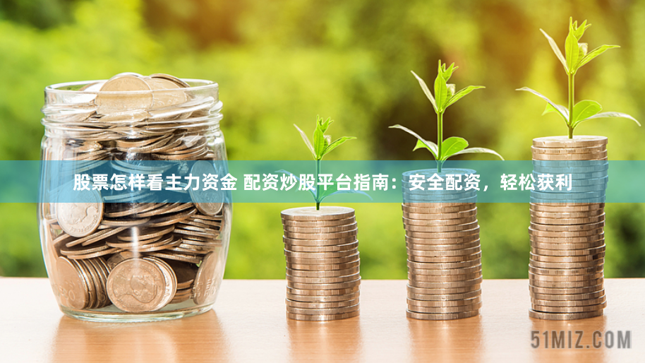 股票怎样看主力资金 配资炒股平台指南：安全配资，轻松获利