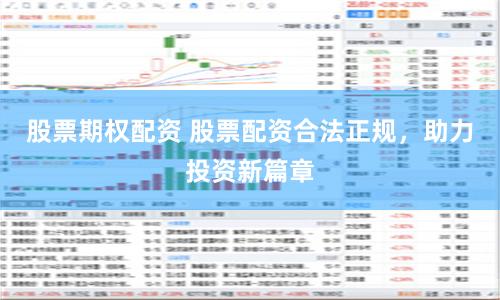 股票期权配资 股票配资合法正规，助力投资新篇章