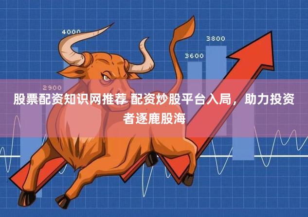 股票配资知识网推荐 配资炒股平台入局，助力投资者逐鹿股海