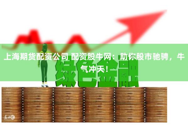 上海期货配资公司 配资股牛网：助你股市驰骋，牛气冲天！