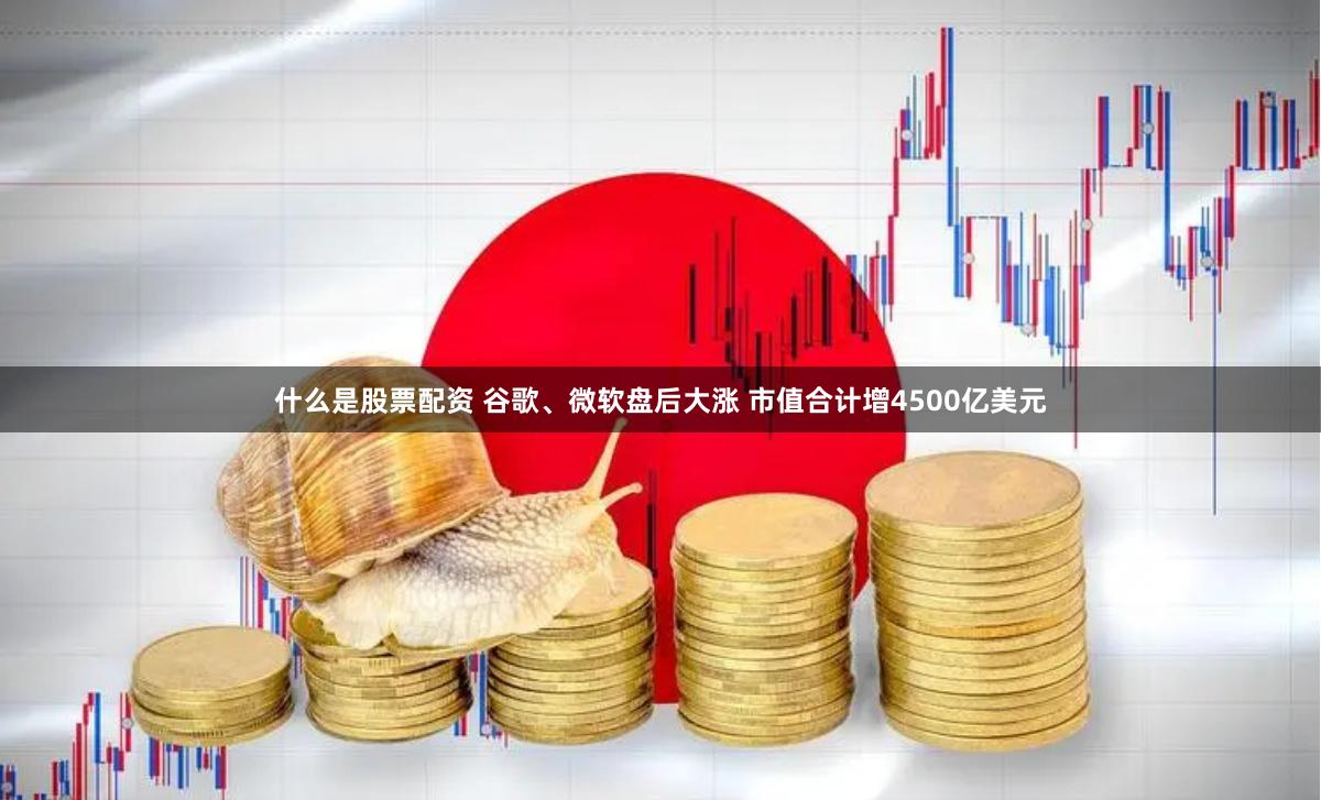 什么是股票配资 谷歌、微软盘后大涨 市值合计增4500亿美元
