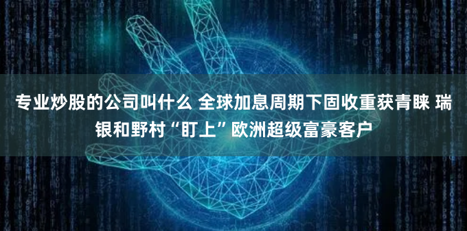 专业炒股的公司叫什么 全球加息周期下固收重获青睐 瑞银和野村“盯上”欧洲超级富豪客户