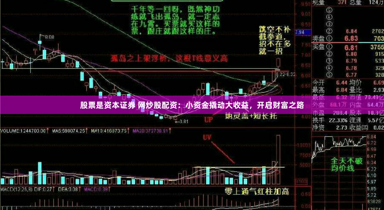 股票是资本证券 网炒股配资：小资金撬动大收益，开启财富之路