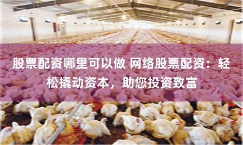 股票配资哪里可以做 网络股票配资：轻松撬动资本，助您投资致富