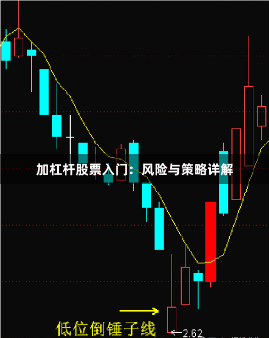 加杠杆股票入门:风险与策略详解